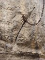 2016-09-18 16-14-07 Rocamadour-La Durandal FGi